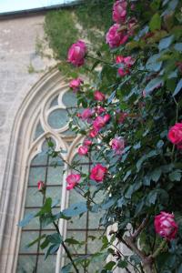 B&B / Chambres d'hotes Abbaye de Reigny - Esprit de France : photos des chambres