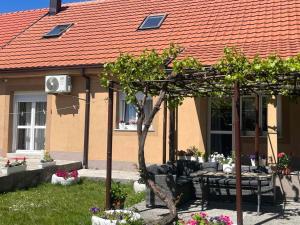 Djurovic Family Garden