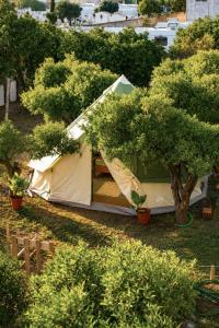 Montijo Garden - Glamping 25min de Lisboa