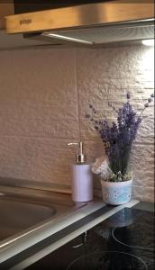 Apartman Perusic