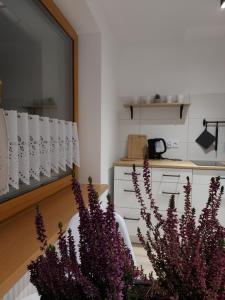 Apartamenty Cisowa Turnia- na Białym Potoku