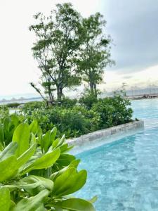 Sea & Sky Pattaya