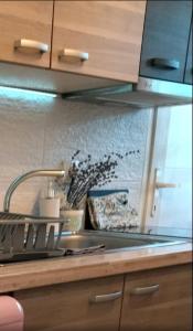 Apartman Perusic