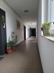 Apartament Fabryczna Premium TK