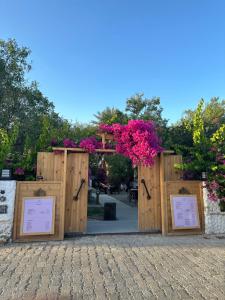 Mavi Lotus Pansiyon & Restorant