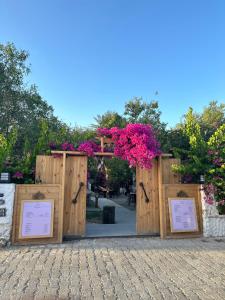 Mavi Lotus Pansiyon & Restorant
