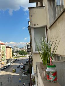 Elegant Home by NDK and Vitosha Blvd with Free Parking
