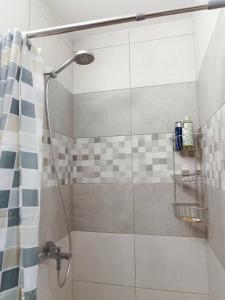 Cozy apartment in Druskininkai old town