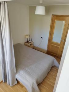 Cozy apartment in Druskininkai old town