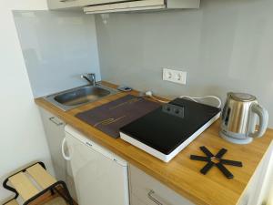 Cozy apartment in Druskininkai old town