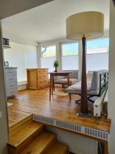Cozy apartment in Druskininkai old town