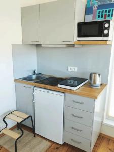 Cozy apartment in Druskininkai old town