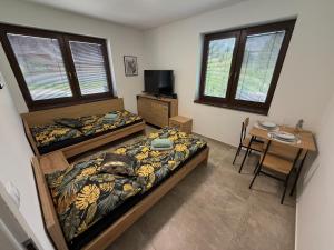 Apartmán Višňové
