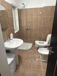 Lake & Park View Apartment Pogradec