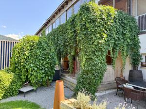 Weitblick 209