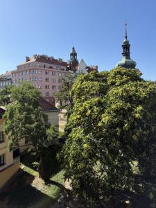 Vrsovice Square View Apartment