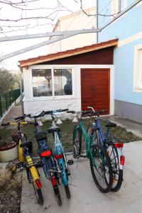 Apartments Villa Karlo