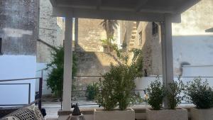 Il Giardino sulla Basilica dimora di charme