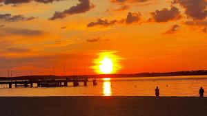 Spacieux studio Arcachon centre "5 nuits minimum" Parking gratuit