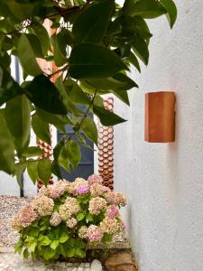 Oliva Studio Private Garden in the Center of Aveiro