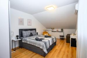 Apartment Blue Oasis