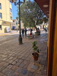 Mallkuwasi Centro