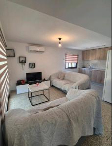 kelepeshis appartment