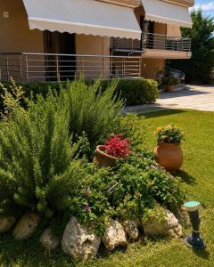 Hotel Olivia