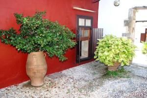 Oasis Guesthouse Chania Greece