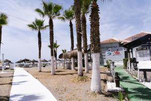 Biasa Holidays Cannes