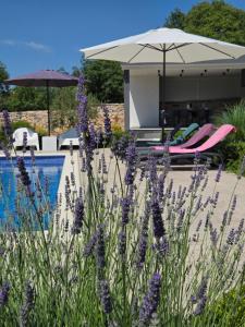 House Adriano