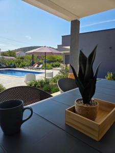 House Adriano