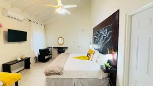 Beyond Escape-Solar-Powered-3BDRM-Near Ocho Rios
