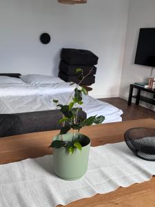 City Nest Żory - Free Parking