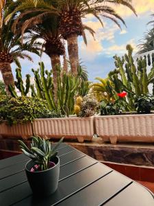 Loft house with rooftop terrace