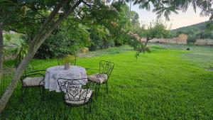 Anemos House Sykia Halkidiki