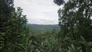 Private 3BHK Villa near Munnar, Bisonvalley