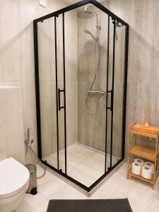 Pure Lotus Studio Apartment Druskininkai