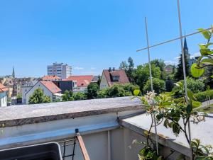 Edelweiss Apartments