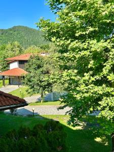 Villa Foresta