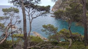 Apartamento Familiar en Tamariu