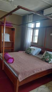 Dolphins and Tourtles apartament