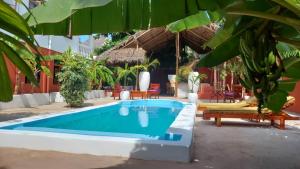 Dolphins and Tourtles apartament
