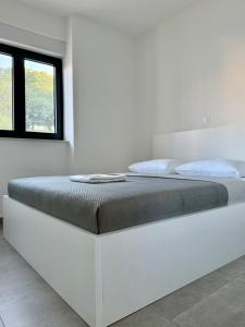 Apartment Melograno
