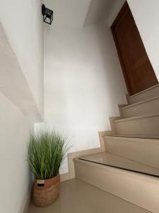 Apartamento Rural Virgen Del Monte