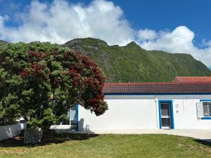 Gustavs Place