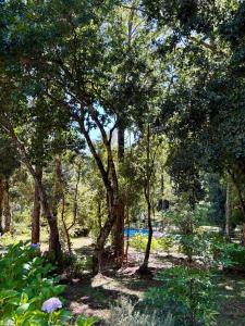 Departamento 3 min del centro y cerca del volcán