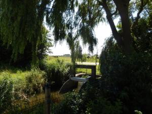 Apartment in Oostkapelle with swimming pool