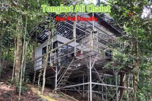 Gibbon Retreat Bentong