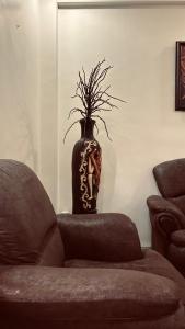 Entire 3BHK floor in Nasik